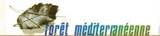 logo_foret_mediteranneene